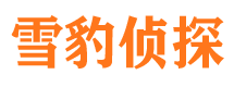 元宝山市私家侦探